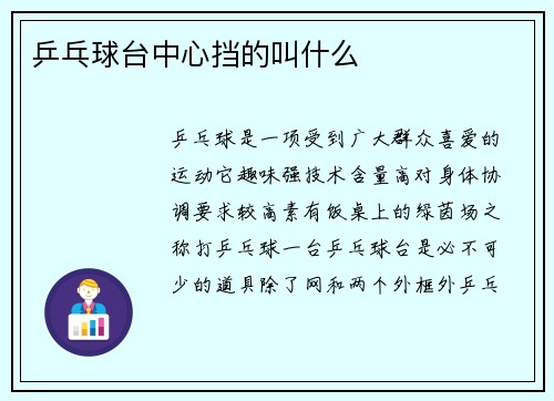乒乓球台中心挡的叫什么