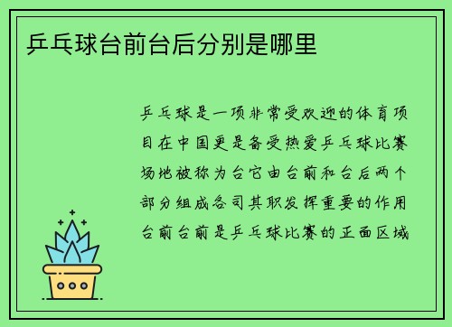 乒乓球台前台后分别是哪里